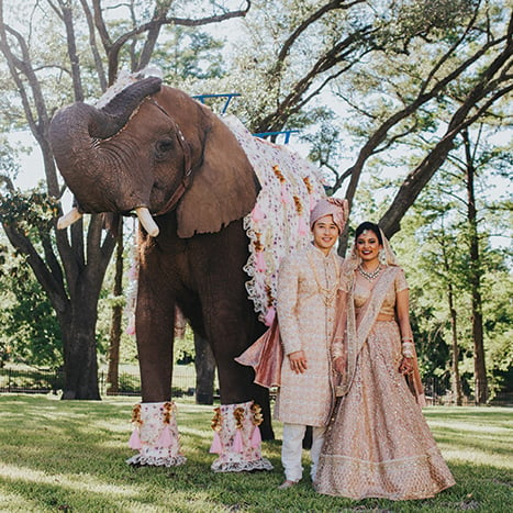 Indian Weddings and South Asian Weddings Houston