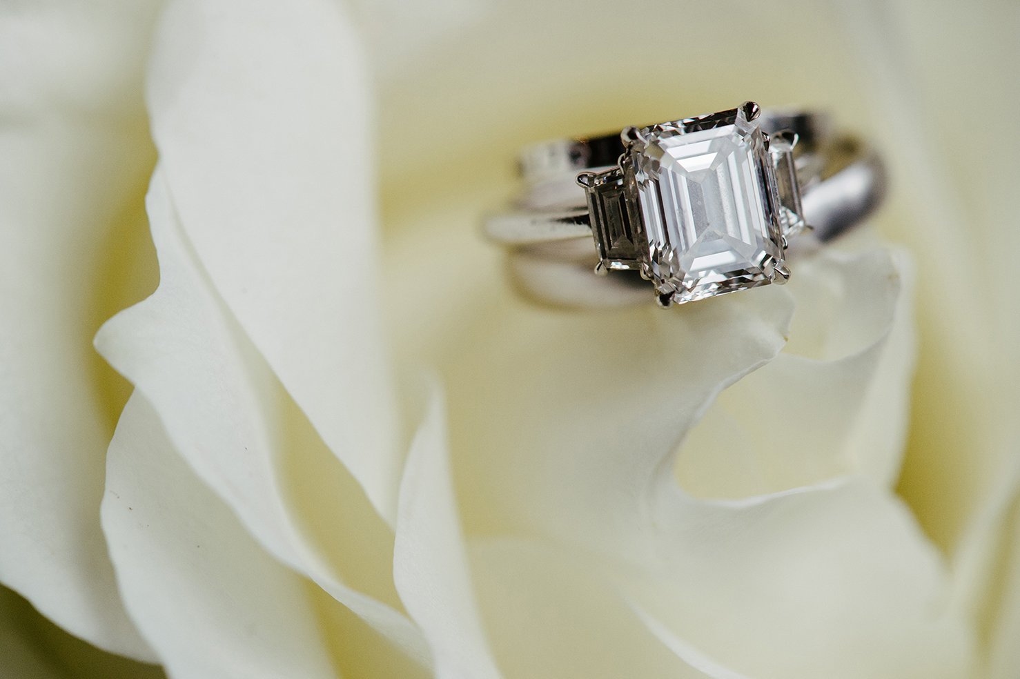white rose, wedding band, diamond engagement ring