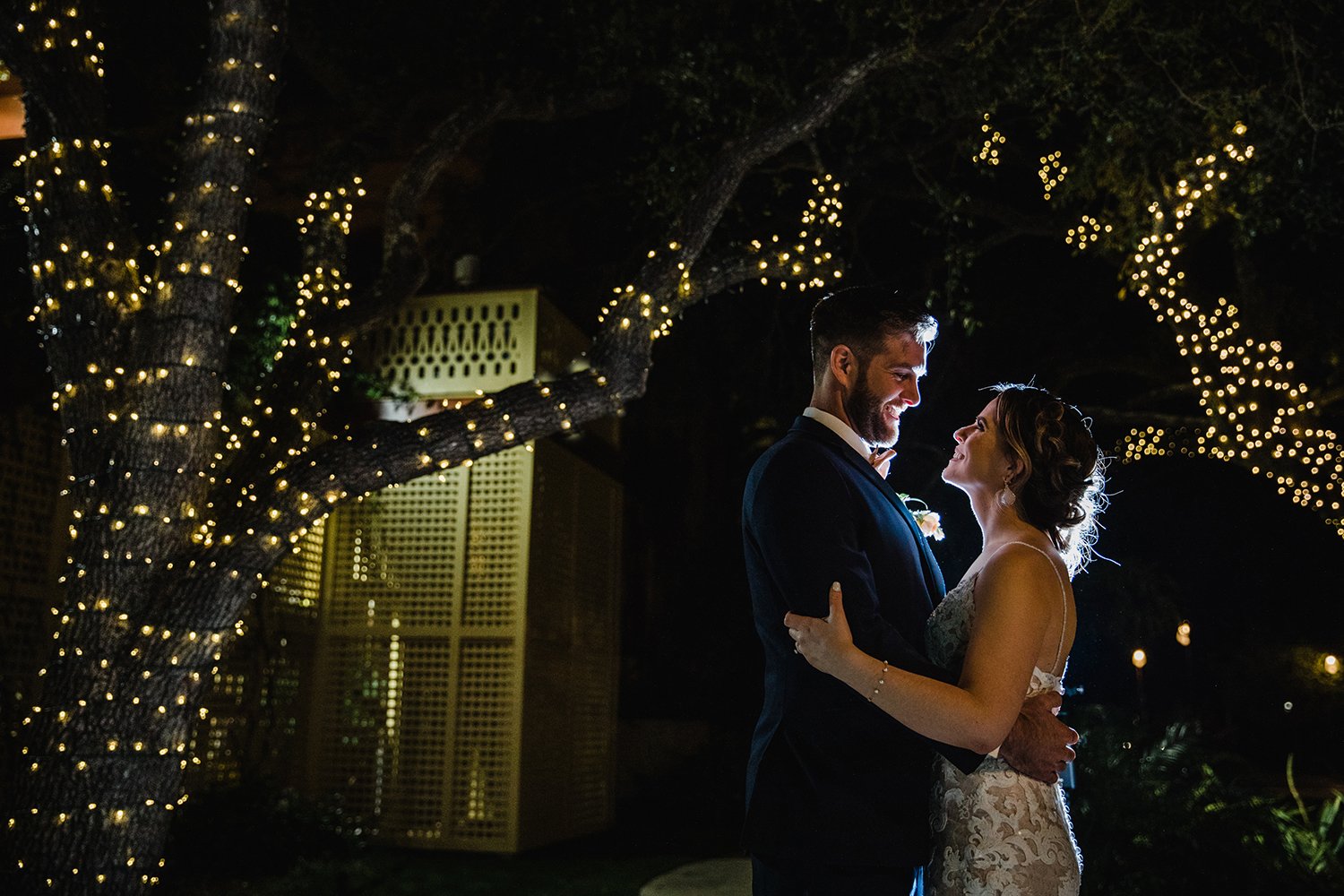 string light trees - night wedding - dramatic photography