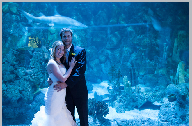 Vibrant, Whimsical Aquarium Wedding by RSVP Studios