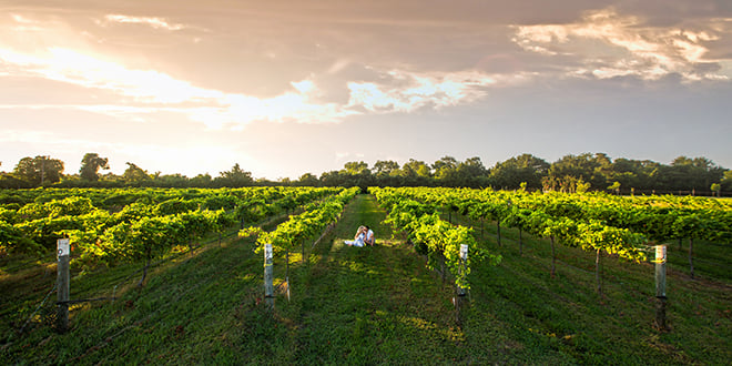 Winery Engagement Shoot by Taylor Golden - Houston Wedding Blog