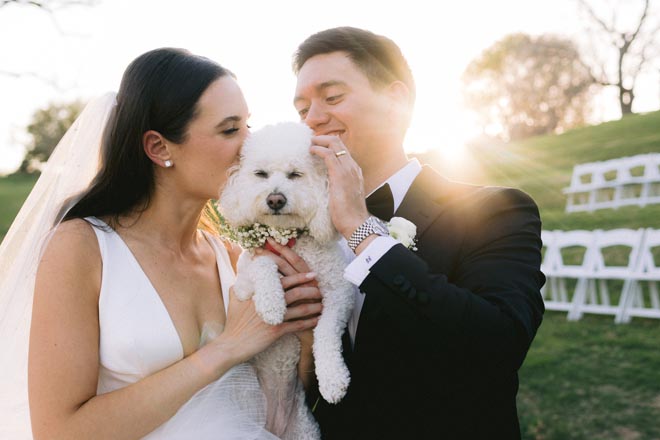 The bride and groom pet their dog at their sun-kissed wedding. 