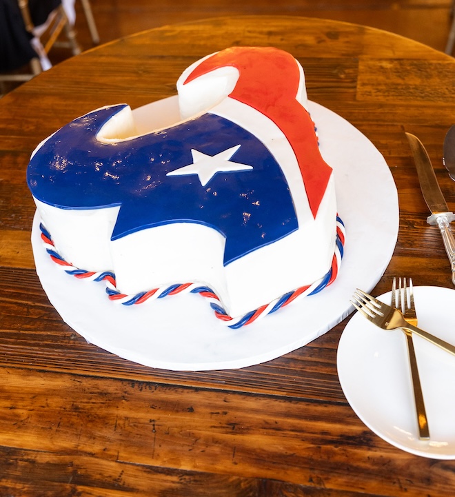 A cake of the Houston Texans mascot. 