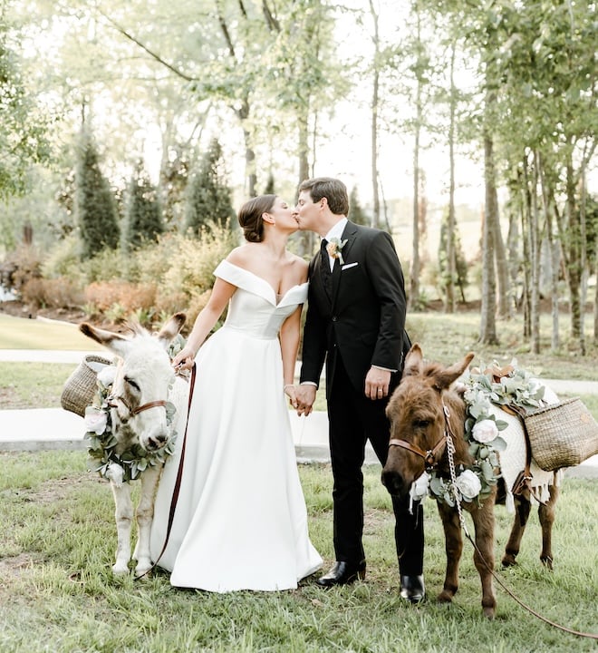 A bride and groom kissing and holding hands with two beer burros beside them. 