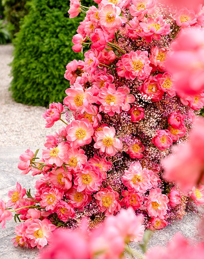 Vibrant pink flowers decorate the wedding ceremony at Villa Balbiano.